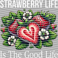 Cartoons and other-CO 1025